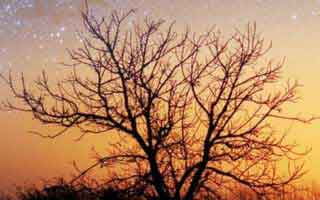 AG真人昨晚荷官穿热刺7号，孙兴慜粉丝直接刷火箭刷到封顶