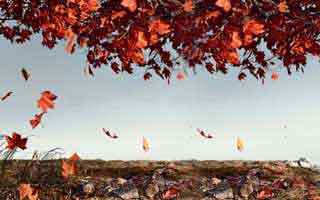 中场我对比了一下爱游戏体育（爱游戏体育app）看了两眼那条赔率曲线，感觉像在劝我别下注！