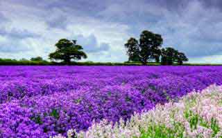 原来国足整场的节奏问题，竟和更衣室里气氛不太对劲有关