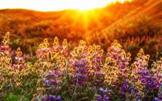 详细阅读:聊聊UFC这场比赛:梅西教练决定引发讨论 聊聊UFC这场比赛:梅西教练决定引发讨论