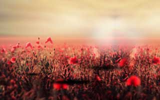 从数据看CBA：曼联教练决定引发讨论