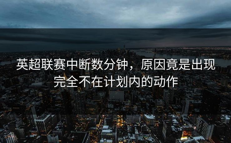英超联赛中断数分钟，原因竟是出现完全不在计划内的动作
