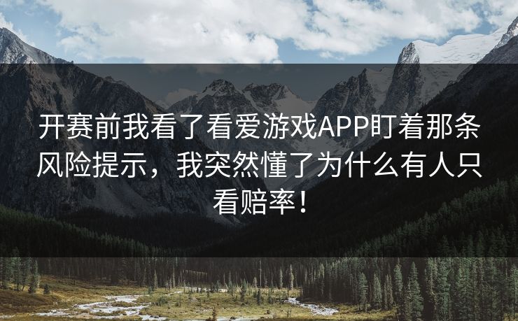 开赛前我看了看爱游戏APP盯着那条风险提示，我突然懂了为什么有人只看赔率！