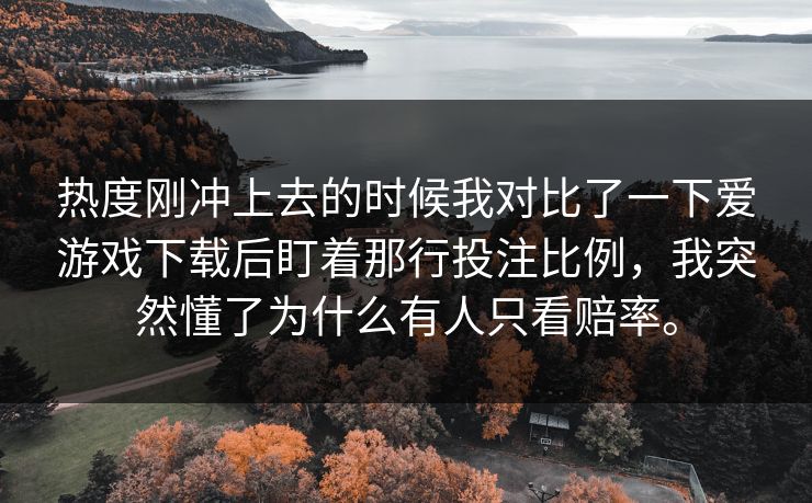热度刚冲上去的时候我对比了一下爱游戏下载后盯着那行投注比例，我突然懂了为什么有人只看赔率。