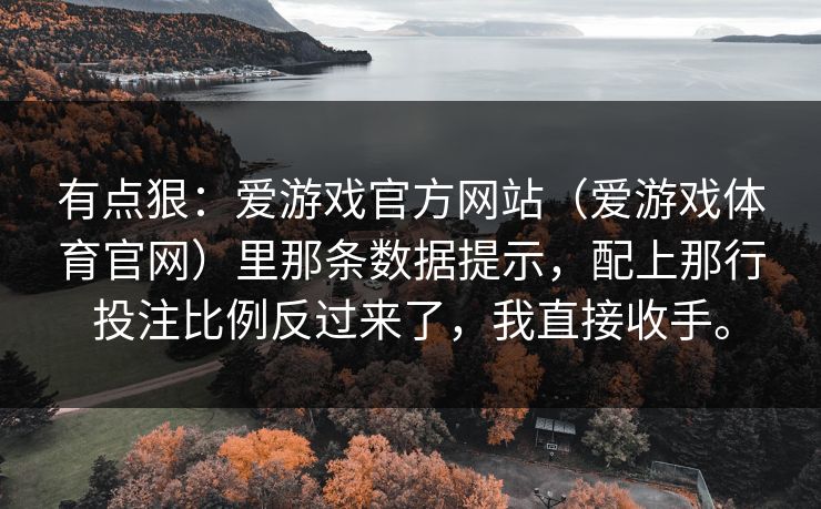 有点狠：爱游戏官方网站（爱游戏体育官网）里那条数据提示，配上那行投注比例反过来了，我直接收手。