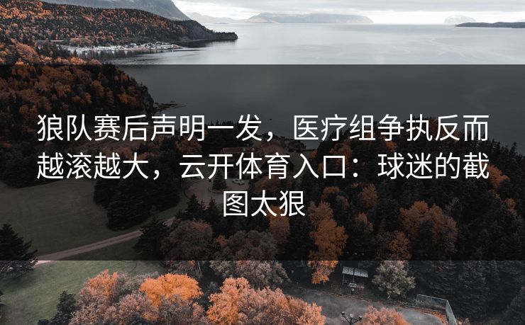 狼队赛后声明一发，医疗组争执反而越滚越大，云开体育入口：球迷的截图太狠